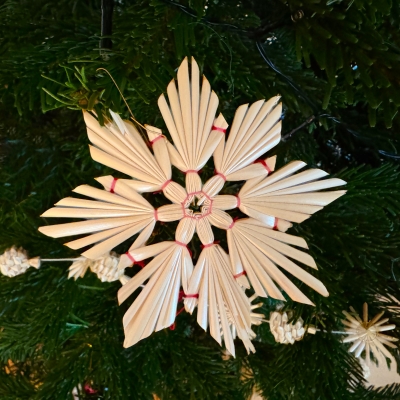 Vánoční poděkování 2024